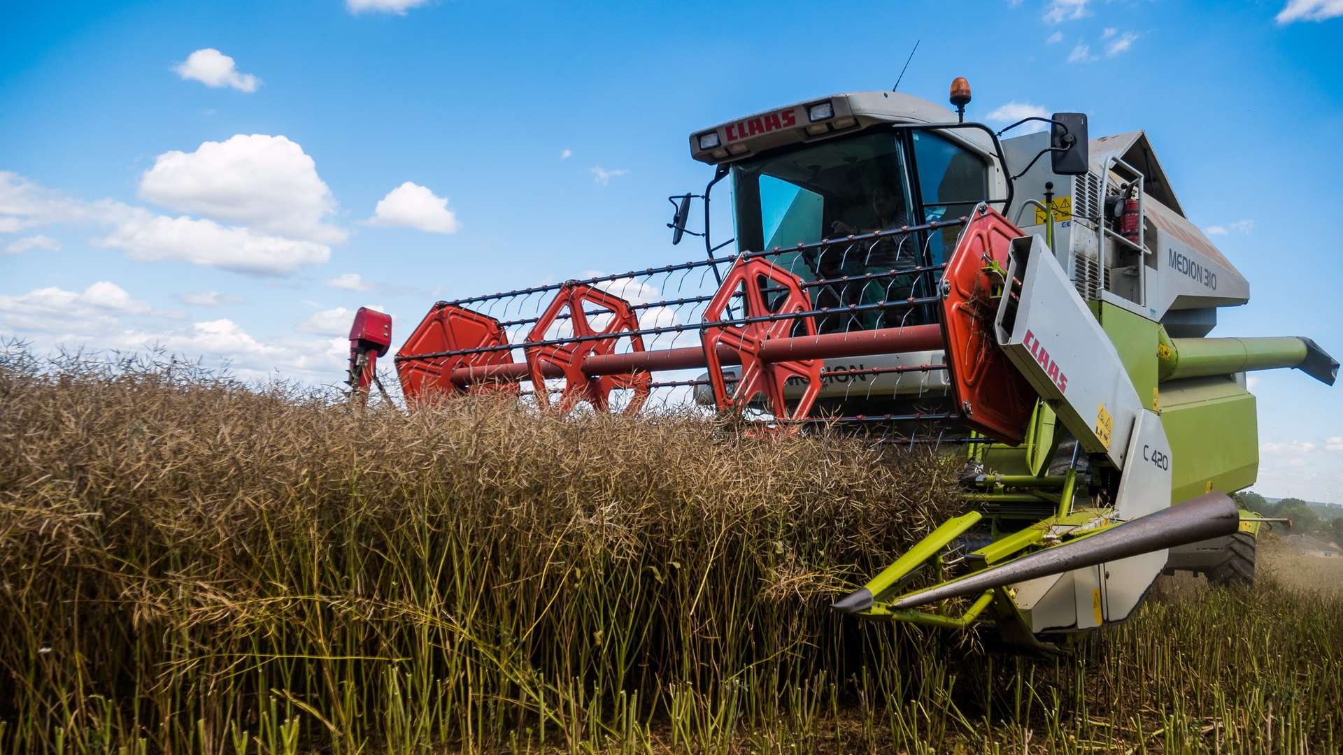 The young farmer’s secret to overcoming challenges